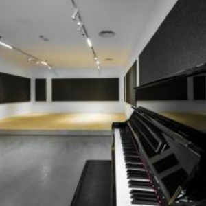 غرفة الصوت المباشر